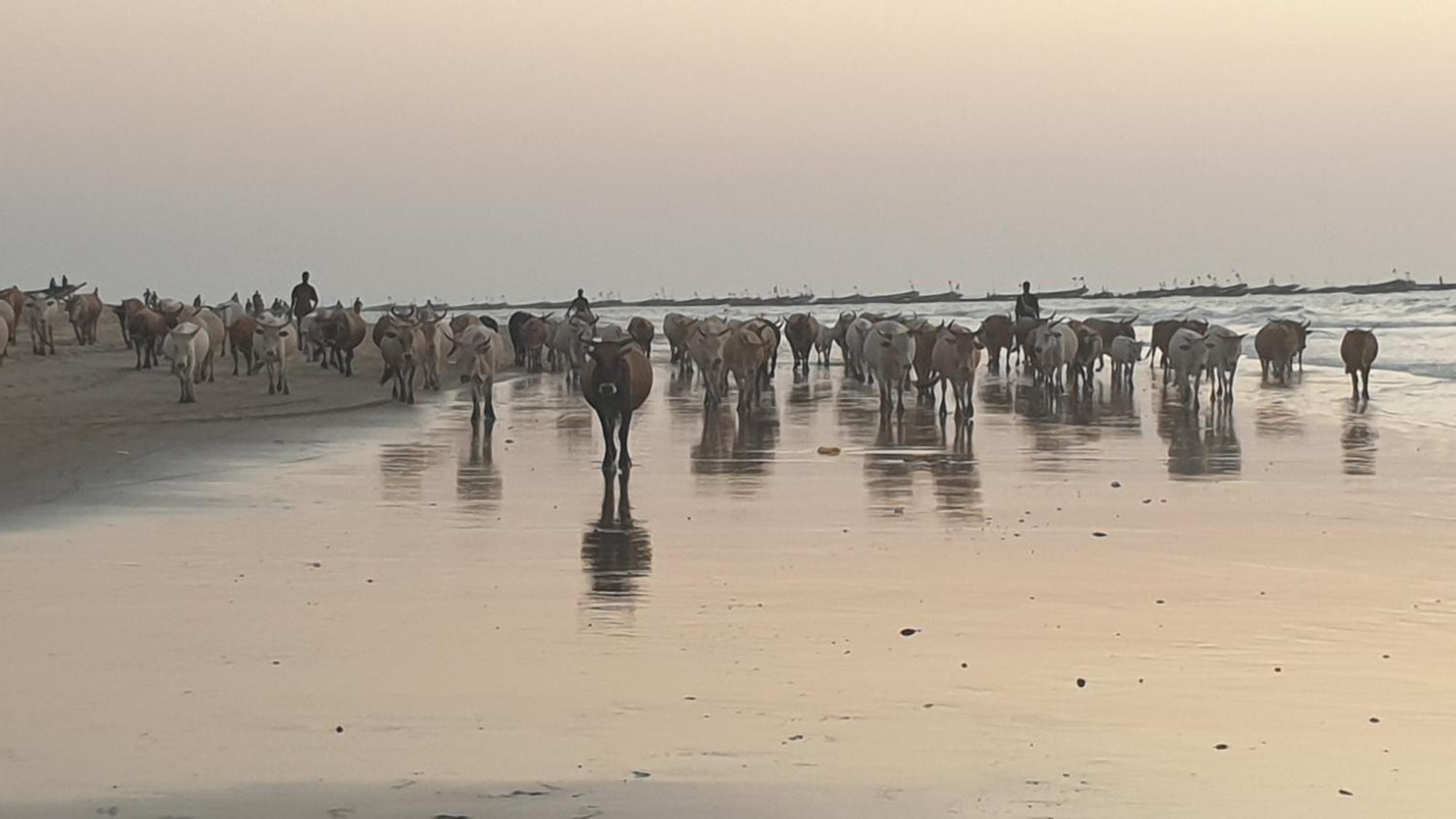 Kasa Boubak Avec Cuisine Exterieure A 50 M De La Plage Kafountine 外观 照片
